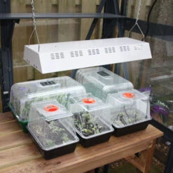 Maxibright Propagation Lights -GreenHaven Shop MPL5