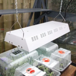 Maxibright Propagation Lights -GreenHaven Shop MPL6