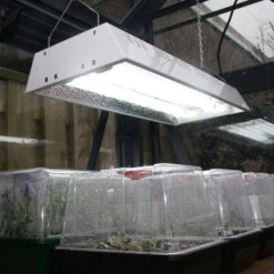 Maxibright Propagation Lights -GreenHaven Shop MPL7