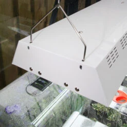 Maxibright Propagation Lights -GreenHaven Shop MPL8