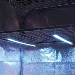 Cosmorrow LED Grow Lights -GreenHaven Shop MXCGLLB475