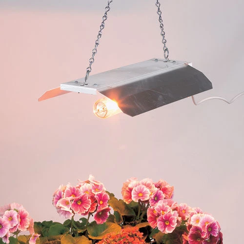 Professional Digital 600w Propagation Light 5 Professional Digital 600w Propagation Light - Image 3