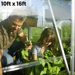 Palram Canopia Balance 10ft Wide Greenhouse -GreenHaven Shop PRBA1024