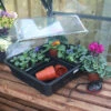 Heat And Grow Variable Temperature Propagator -GreenHaven Shop PRHGV1