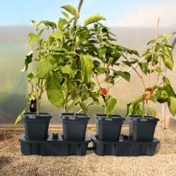 Quadgrow Planter 20 Quadgrow Planter -GreenHaven Shop QGP12