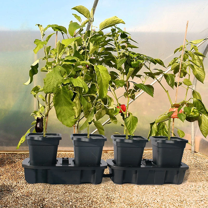 Quadgrow Planter 11 Quadgrow Planter - Image 9