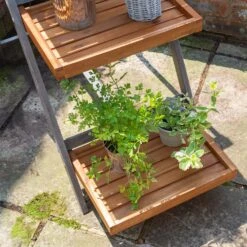 Alderley Hardwood Plant Ladder -GreenHaven Shop ROALDPLANT8