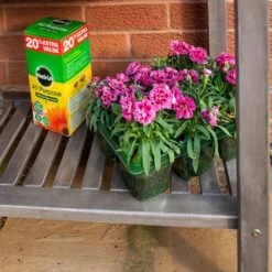 Rowlinson Alderley Raised Planter -GreenHaven Shop ROALDRAPL7