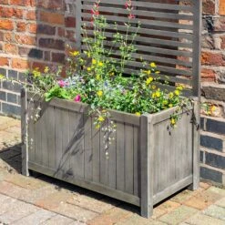 Rowlinson Alderley Rectangular Planter And Trellis -GreenHaven Shop ROALDRPLTR3