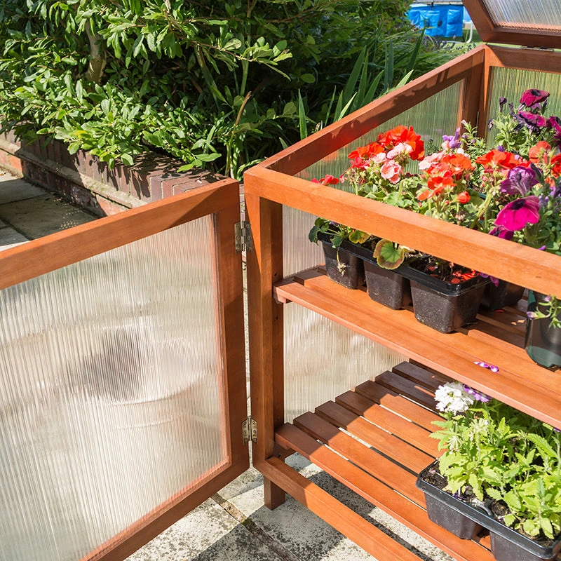 Rowlinson Square Mini Greenhouse 6 Rowlinson Square Mini Greenhouse - Image 4