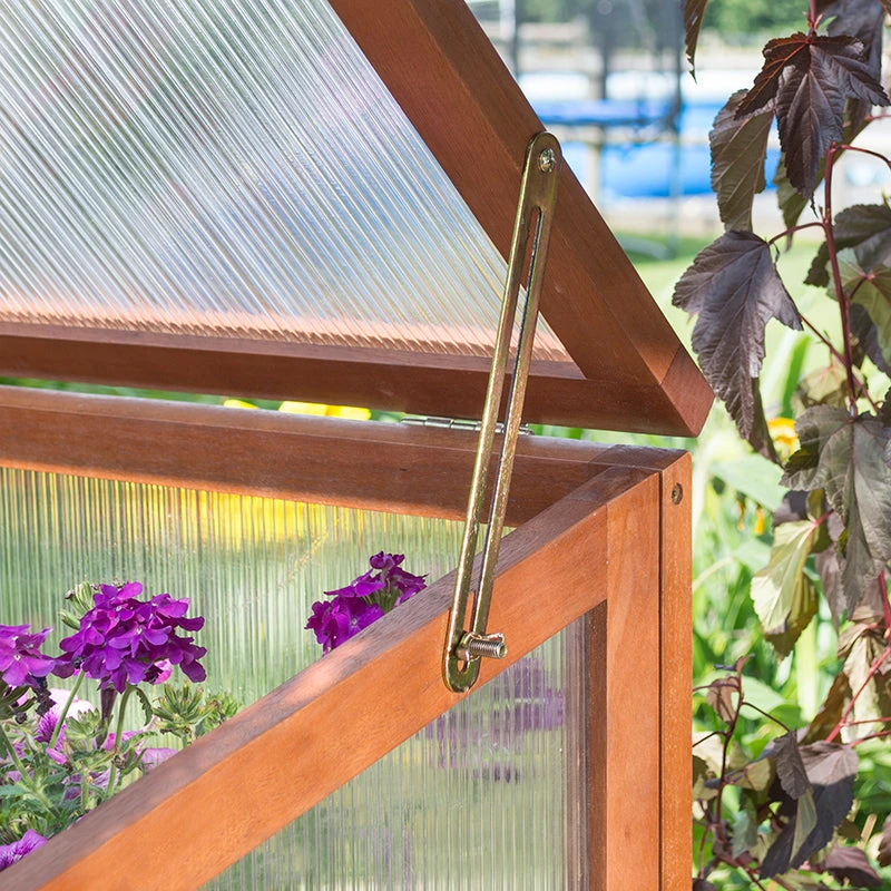 Rowlinson Square Mini Greenhouse 5 Rowlinson Square Mini Greenhouse - Image 3