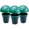 Slug And Snail Traps (1x Triple Pack) -GreenHaven Shop SNST1