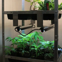 Seed Tray Rack Lighting Kit -GreenHaven Shop STRLB7