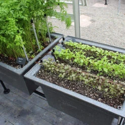 Ergrownomics - Two Planter Set -GreenHaven Shop TWP2