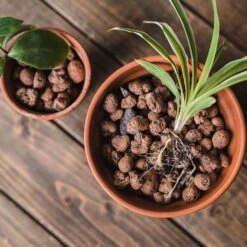 Gro-Sure Hydroleca 10 Litre Bag -GreenHaven Shop WLGSH105