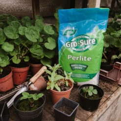Gro-Sure Perlite 10 Litre Bag -GreenHaven Shop WLGSP102