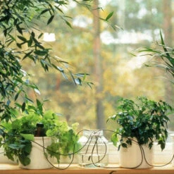 Blumat Automatic Pot Plant Waterers -GreenHaven Shop bappw3 1