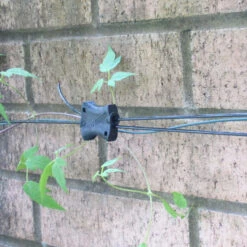 Gripple Plant Support System Starter Pack -GreenHaven Shop bpgrsp4 56630056 0957 4f13 b340 2dc26f74eef6