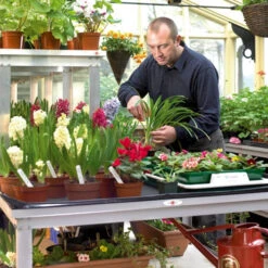 Commercial Bench - Two Tier -GreenHaven Shop cbtt7