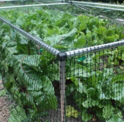 1' 6" High X 8' Wide Fruit & Vegetable Cage -GreenHaven Shop fc164