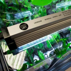 GS LED Grow Light -GreenHaven Shop gsled2 3