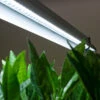 GS LED Grow Light -GreenHaven Shop gsled5 3