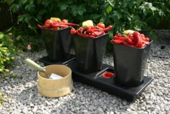 Triplegrow Planter Chillegrow -GreenHaven Shop gstgp14