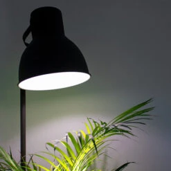 E27 LED Light Bulb 11 E27 LED Light Bulb -GreenHaven Shop hgrilb6