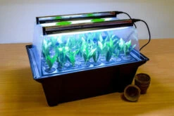 Hydropod Propagator -GreenHaven Shop hycp2 4