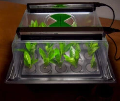 Hydropod Propagator -GreenHaven Shop hycp7 4