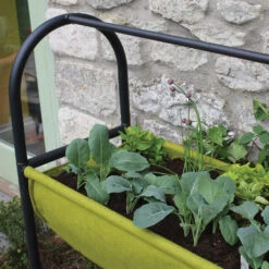 Vigoroot Easy Table Garden -GreenHaven Shop image 102325