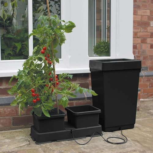 Easy2Grow 2 Pot Kit 3 Easy2Grow 2 Pot Kit