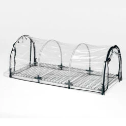 Bio Green Jumbo Propagator -GreenHaven Shop image 104950