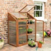 Rowlinson Hardwood Mini Greenhouse -GreenHaven Shop image 106439