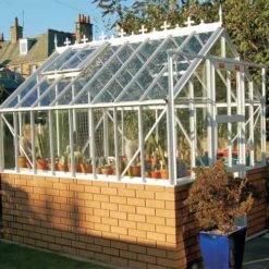 6X4 Greenhouse - Elite Thyme -GreenHaven Shop image 107127