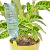 Iriso Watering Spike -GreenHaven Shop image 107608
