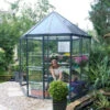 Palram Canopia Oasis Hexagonal 8ft Greenhouse -GreenHaven Shop image 107647 ee33406e 8c1d 451d bb19 5383be6300a2