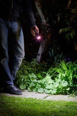 Mega-Beam Torch -GreenHaven Shop image 108201