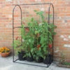 Tomato Crop-Booster Frame -GreenHaven Shop image 108257