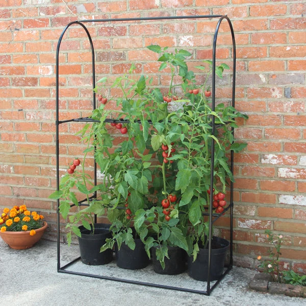 Tomato Crop-Booster Frame 3 Tomato Crop-Booster Frame