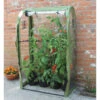 Tomato Crop-Booster Poly Cover 1 Tomato Crop-Booster Poly Cover -GreenHaven Shop image 108472
