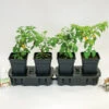 Quadgrow Planter -GreenHaven Shop image 110373