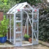 Elite Compact Package Greenhouses -GreenHaven Shop image 115038
