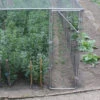 Heavy Duty Fruit Cage Door -GreenHaven Shop image 136710
