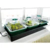 Bio Green Hollandia Self Watering Propagator 2 Bio Green Hollandia Self Watering Propagator -GreenHaven Shop image 137058