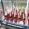 Aluminium Gravel Trays For Jumbo Propagator 2 Aluminium Gravel Trays For Jumbo Propagator -GreenHaven Shop image 137647