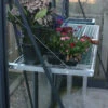 Greenhouse Integral Mini Staging -GreenHaven Shop image 138415