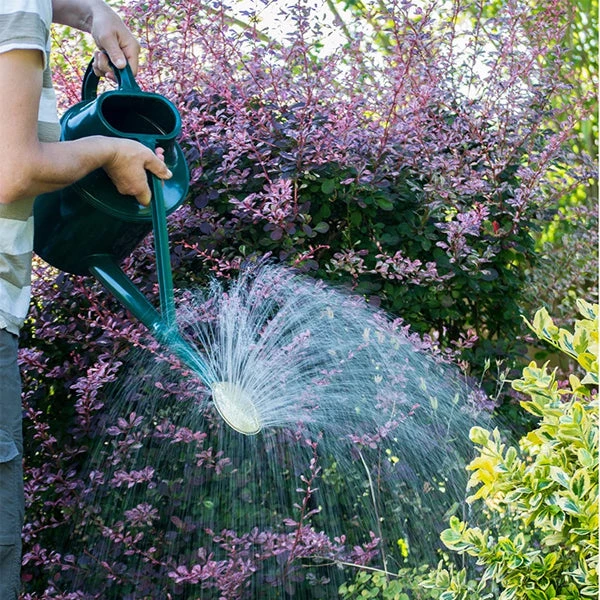 Haws Outdoor Long Reach Watering Can 4 Haws Outdoor Long Reach Watering Can - Image 2