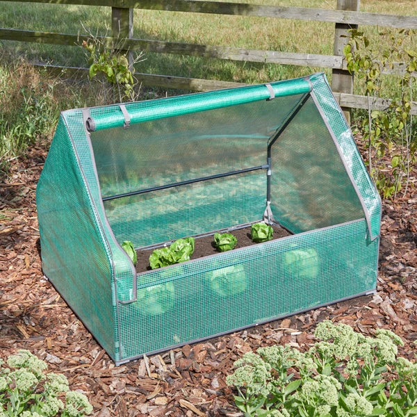 Gro-Zone Gro-Cloche Standard 3 Gro-Zone Gro-Cloche Standard