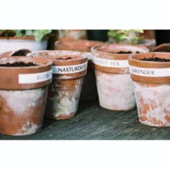 Electronic Garden Labeller With Mains Adapter And Spare Tape -GreenHaven Shop image 139049